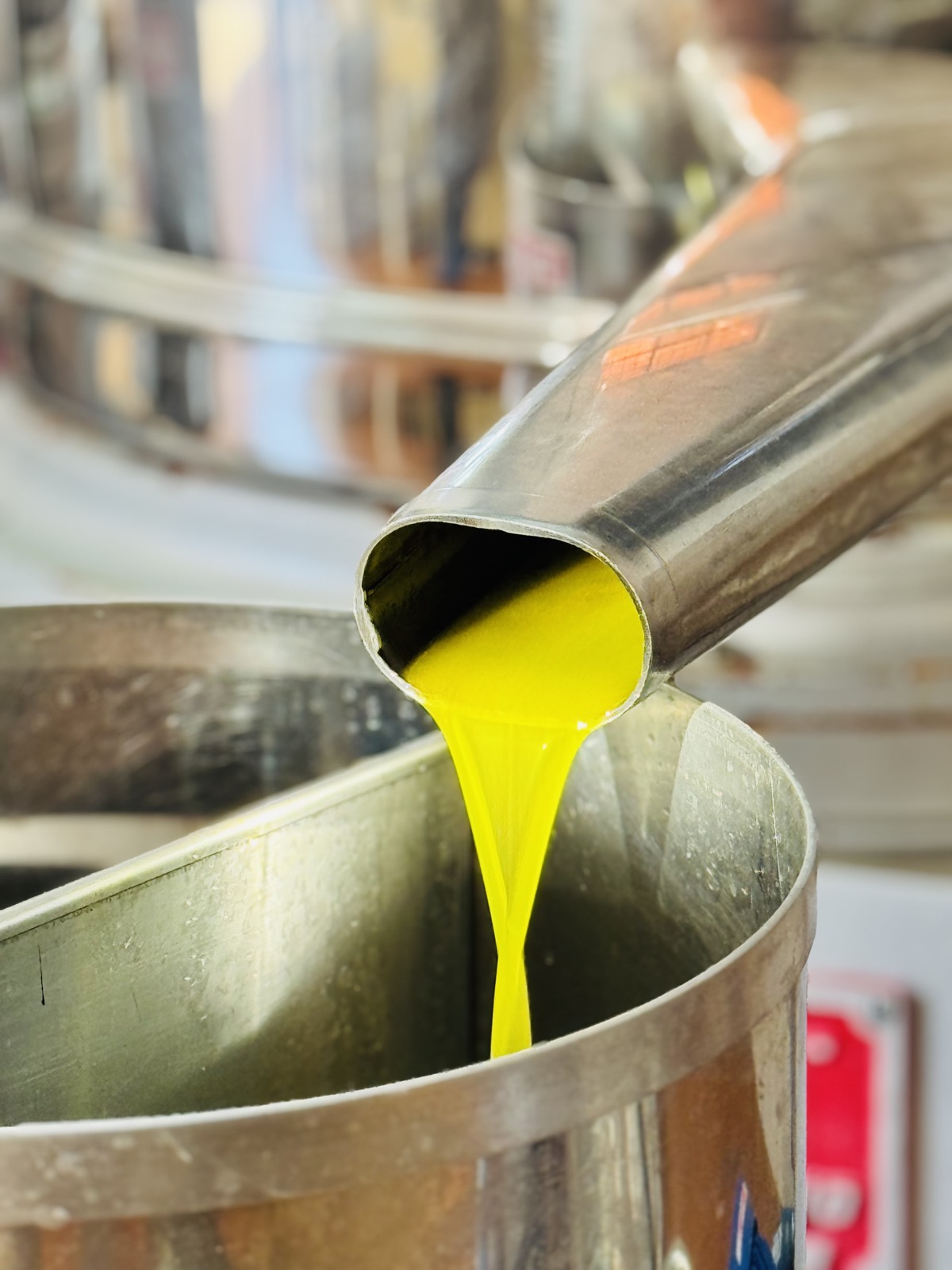 Olio extravergine che esce dal frantoio